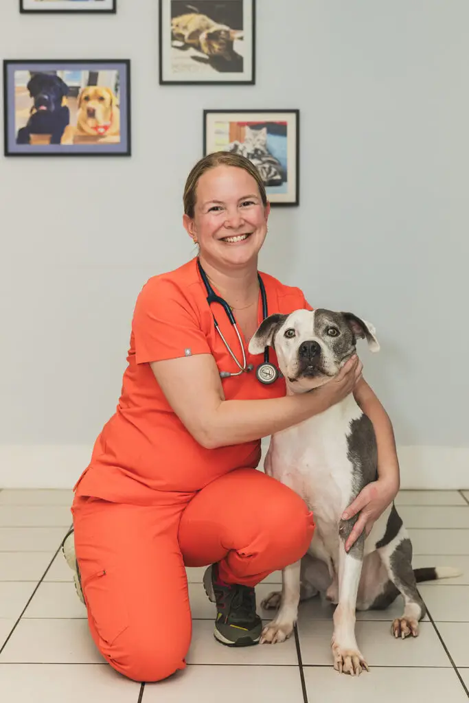 Dr. Lindsay Laird, Medical Director of Arnold Pet Station in Arnold, MD.