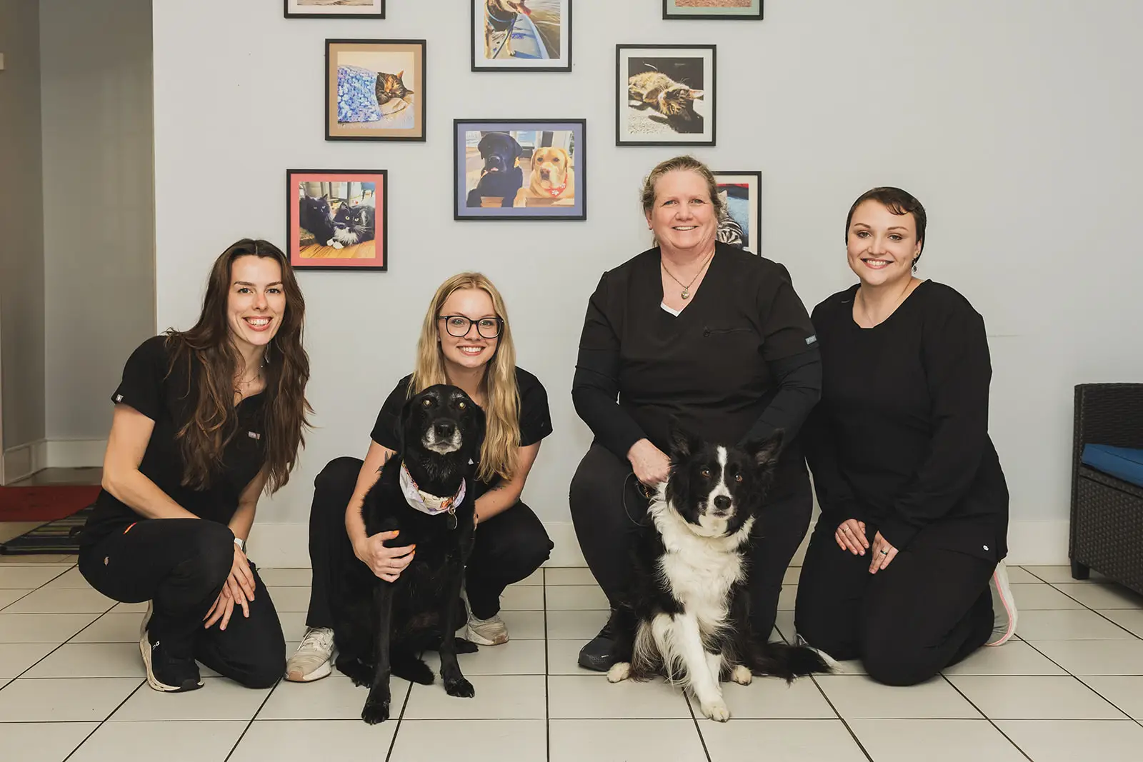 Arnold Pet Station staff pose with dogs in the veterinary practice lobby.