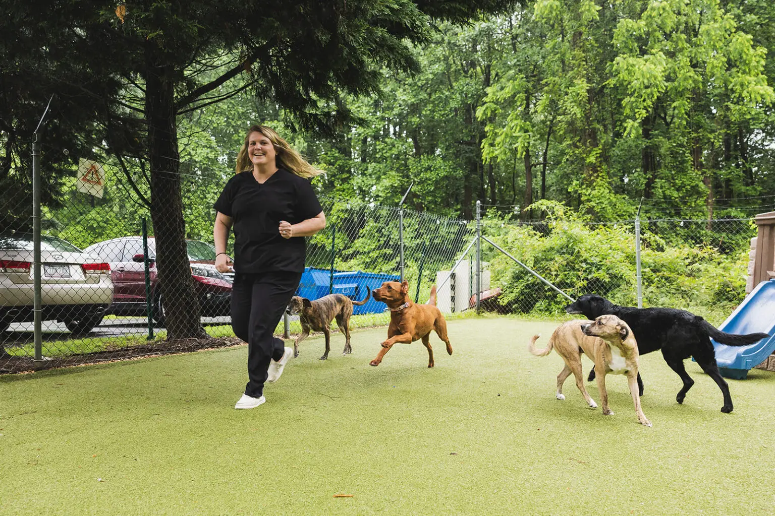 Veterinary staff plays with dogs in the play yard at Arnold Pet Station in Arnold, MD.