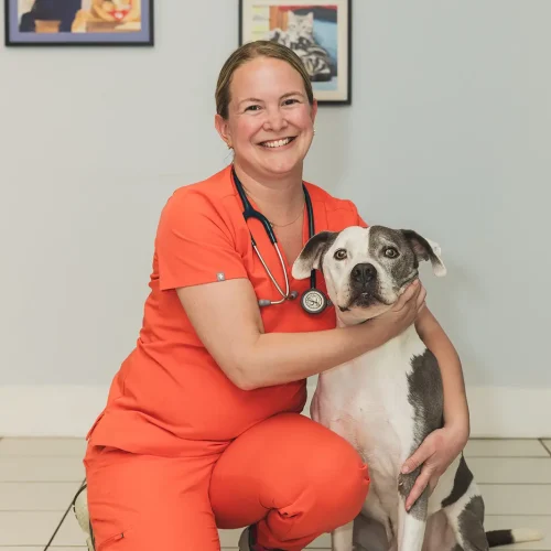 Dr. Lindsay Laird, Medical Director of Arnold Pet Station in Arnold, MD.